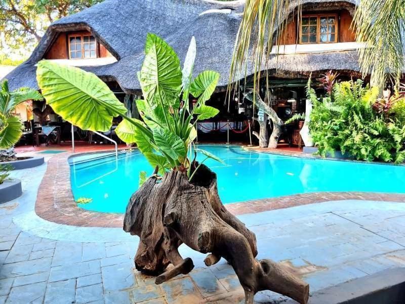 Dei Gratia Guest House Musina Exteriér fotografie